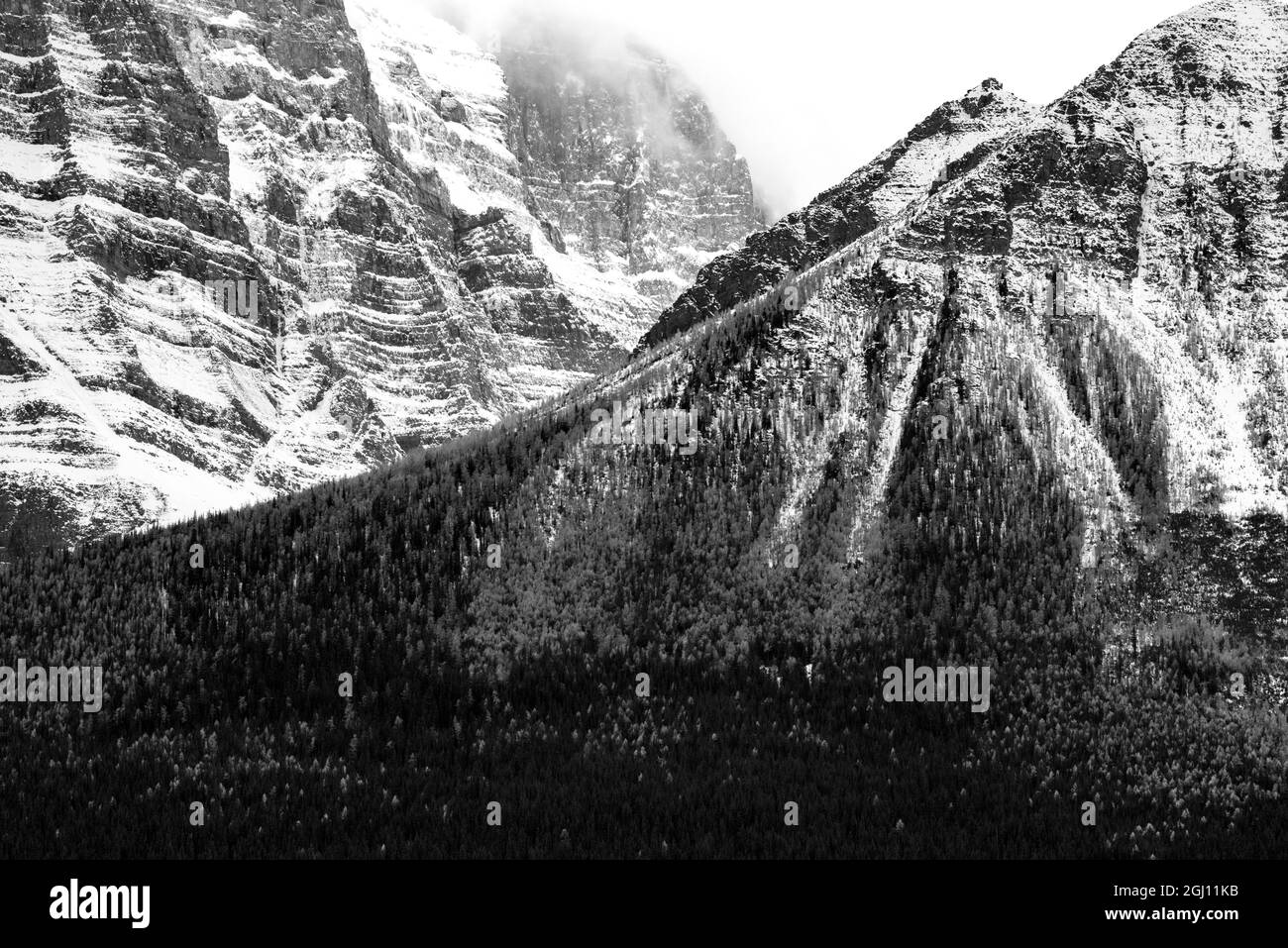 Kanada, Alberta. Schwarzweiß-Bilddetails von schneebedeckten Bergen und Wäldern im Jasper National Park. Stockfoto