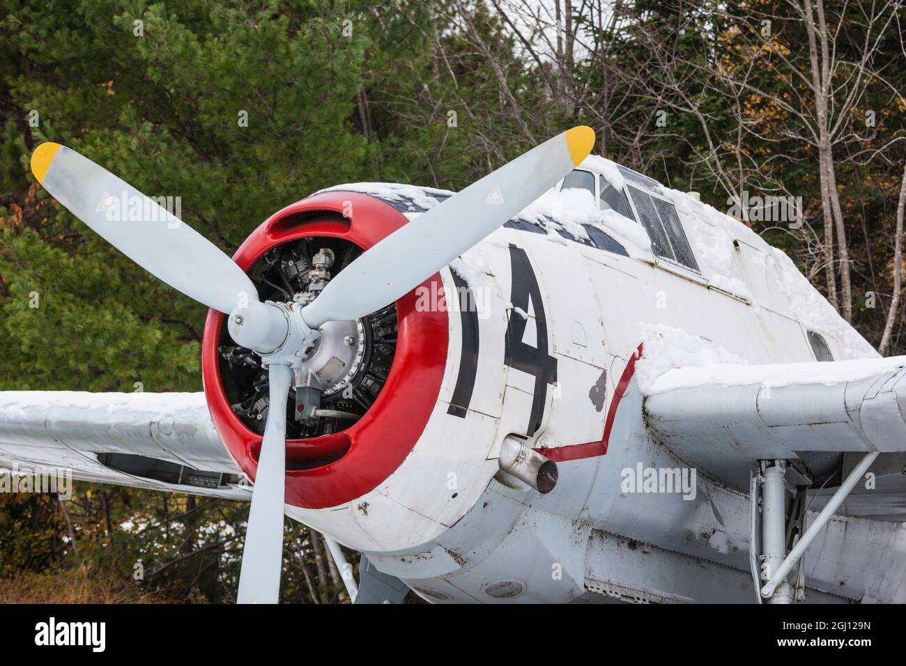 Kanada, New Brunswick, Miramichi River Valley, Boiestown. Avenger-Bomber aus dem 2. Weltkrieg, der bei Luftangriffen unter frühem Schnee eingesetzt wird. Stockfoto