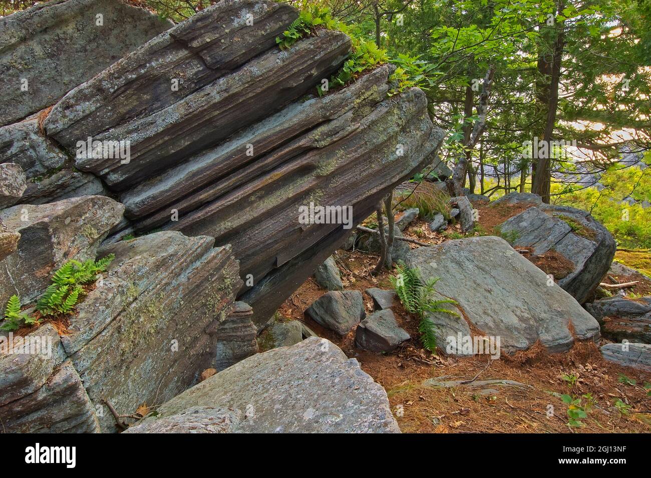 Kanada, Ontario, Killbear Provincial Park, Scenic of Rocks. Kredit als: Mike Grandmaison / Jaynes Gallery / DanitaDelimont. com Stockfoto