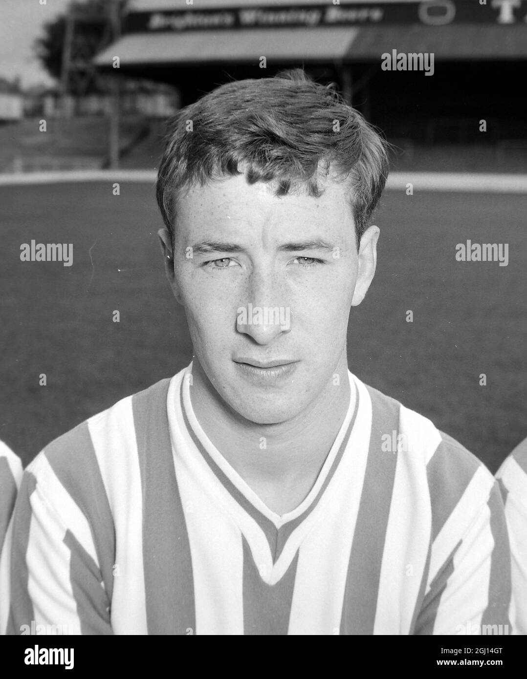 JOHN DILLON - PORTRÄT DES FUSSBALLERS, SPIELER DER FUSSBALLMANNSCHAFT DES BRIGHTON & HOVE FC - ; 9. AUGUST 1962 Stockfoto