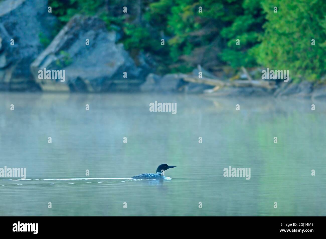 Kanada, Ontario, Longlac. Gemeinsames Schwimmen von Ballons auf dem See. Stockfoto