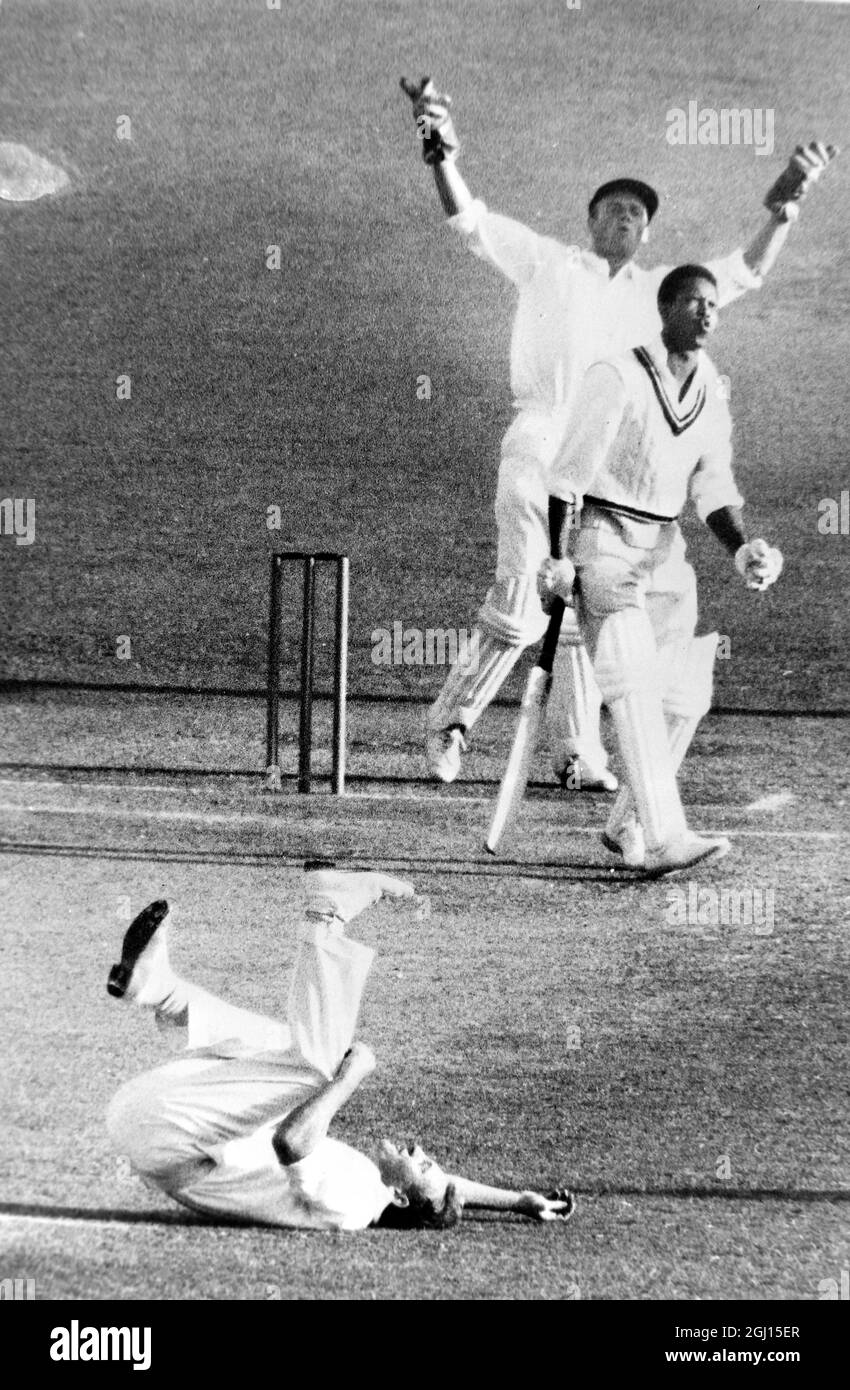 CRICKET MCC V AUSTRALIA ILLINGWORTH R-CRICKETER AUF DEM RÜCKEN LIEGEND - ; 8. NOVEMBER 1962 Stockfoto