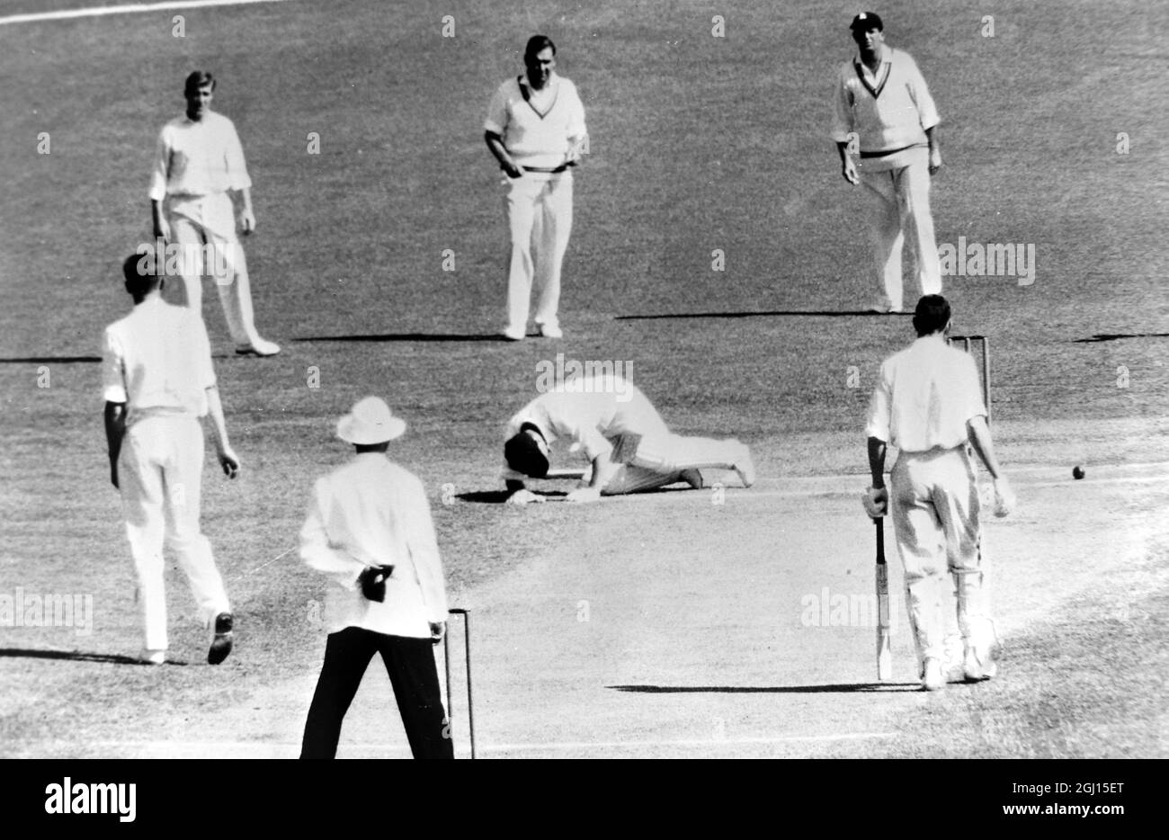 CRICKET MCC V AUSTRALIEN FAVELL HIT BY BALL - ; 8. NOVEMBER 1962 Stockfoto