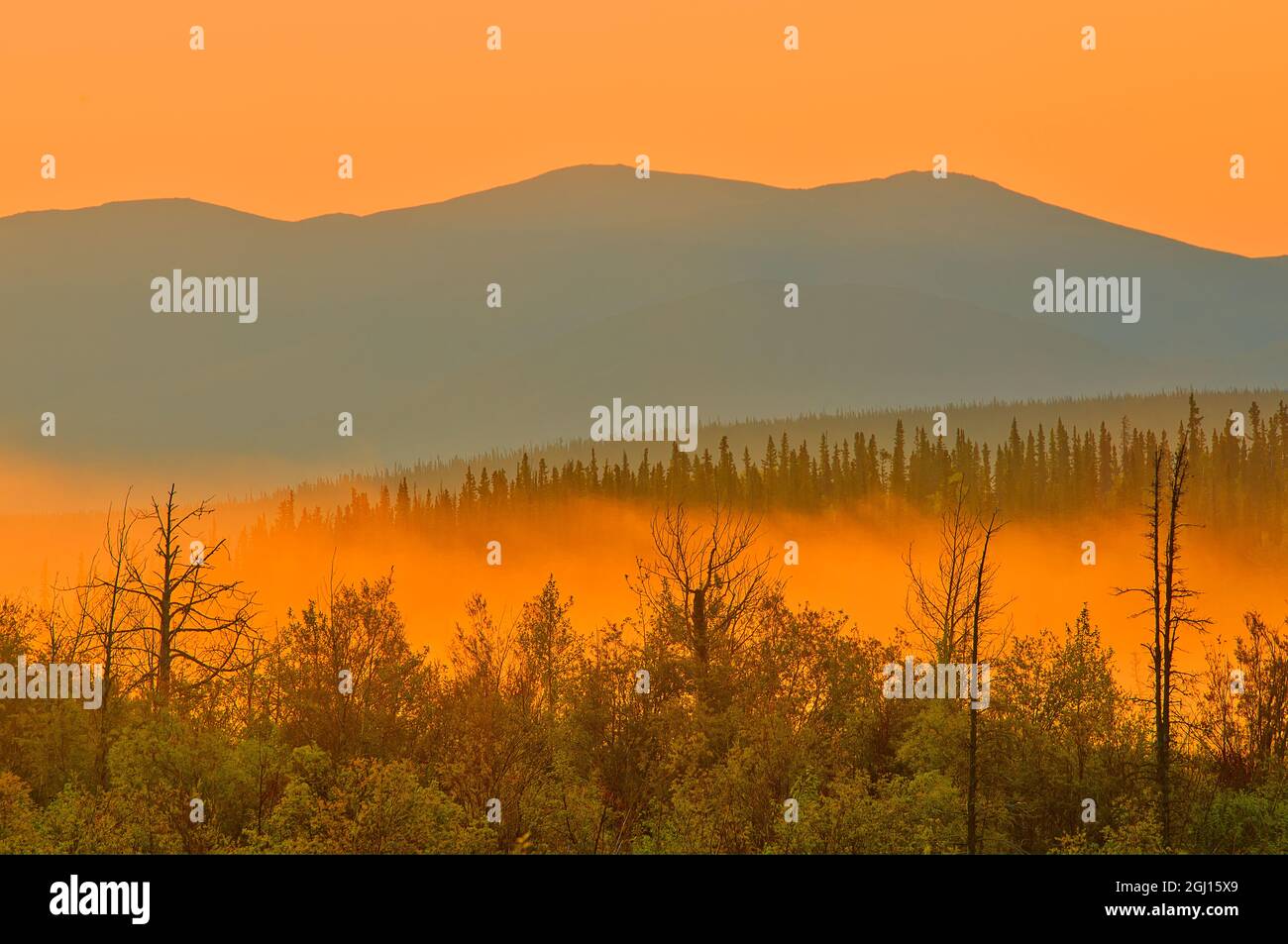 Kanada, Yukon, Haines Junction. Sonnenaufgang auf Bergen und Wald. Kredit als: Mike Grandmaison / Jaynes Gallery / DanitaDelimont.com Stockfoto