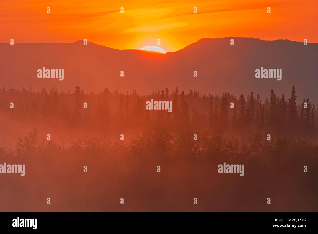 Kanada, Yukon, Haines Junction. Sonnenaufgang auf Bergen und Wald. Kredit als: Mike Grandmaison / Jaynes Gallery / DanitaDelimont.com Stockfoto