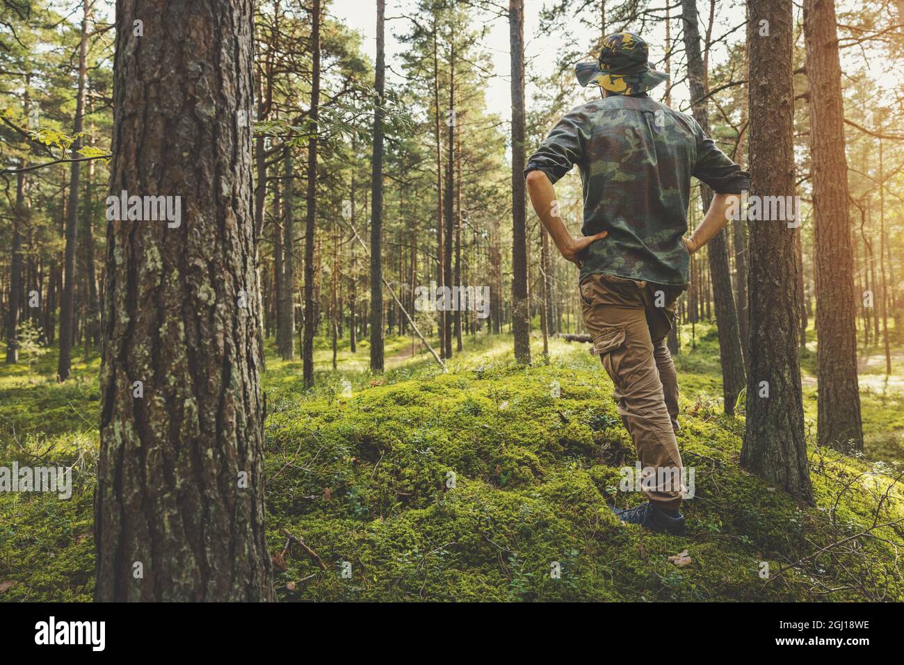 Waldentwicklung und nachhaltige Forstwirtschaft. ranger überwacht das Waldökosystem Stockfoto