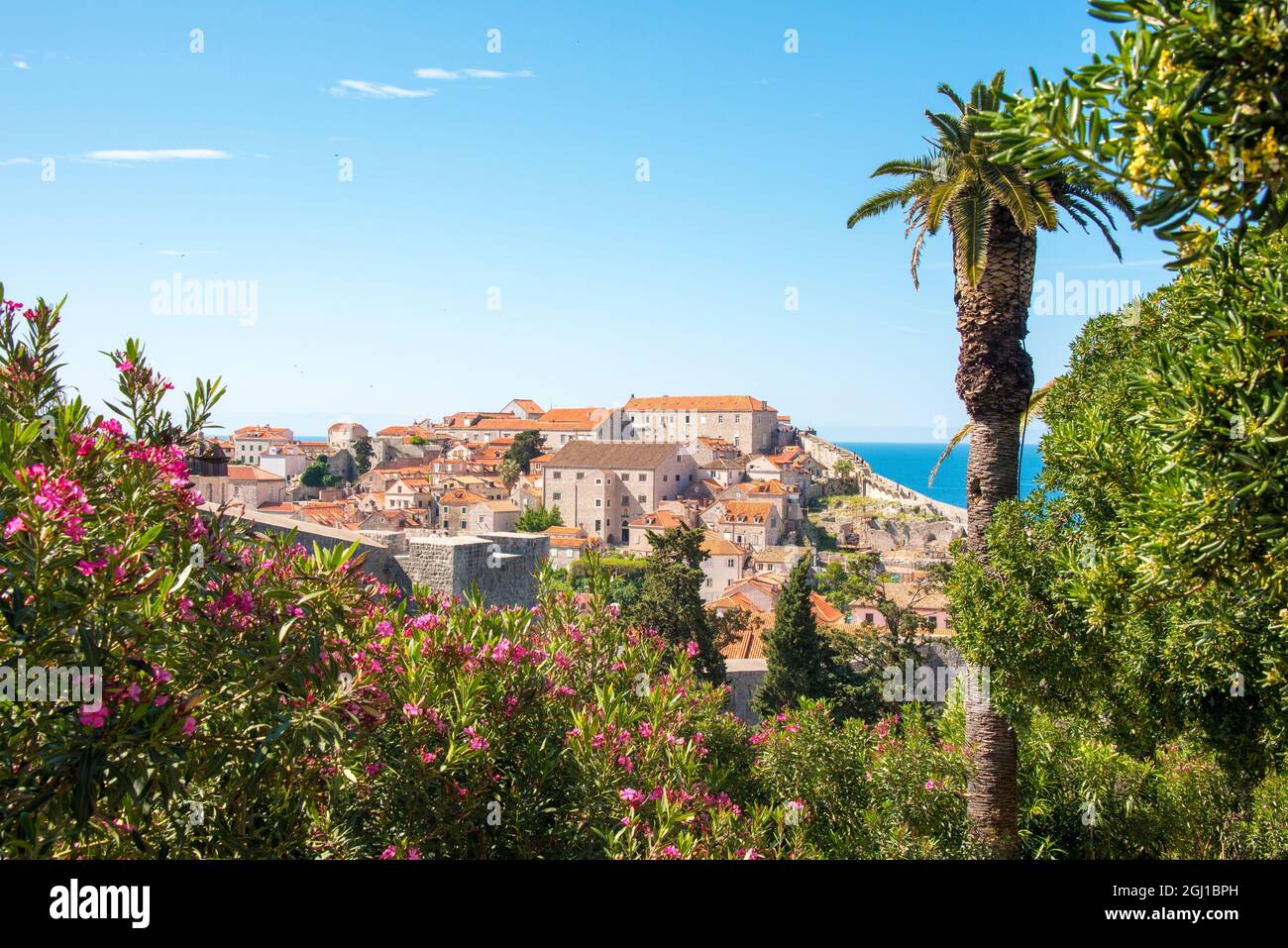 Kroatien, Dubrovnik. Blick vom Hügel über der ummauerten Stadt. Stockfoto
