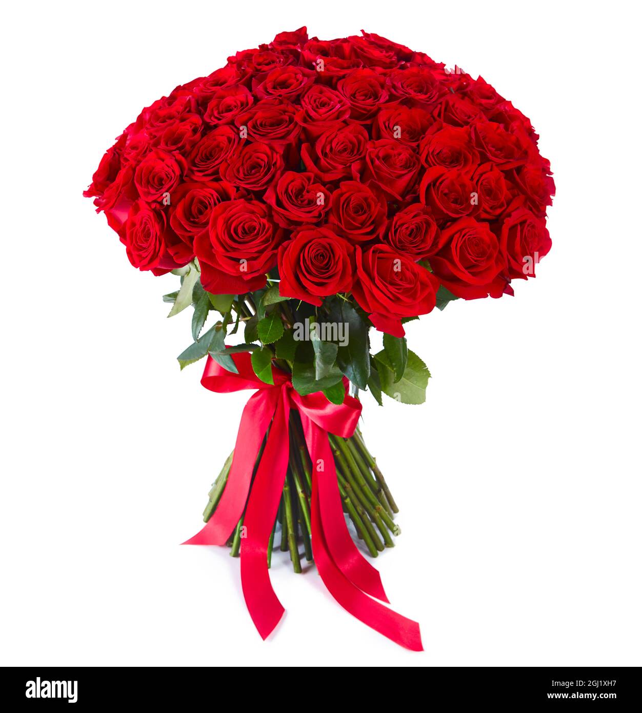 Riesige rote Rosen Bouquet isoliert auf weißem Hintergrund. Luxus Bouquet  von hundert dunklen rubinroten Rosen für Valentinstag. Feier der Verlobung  oder wir Stockfotografie - Alamy