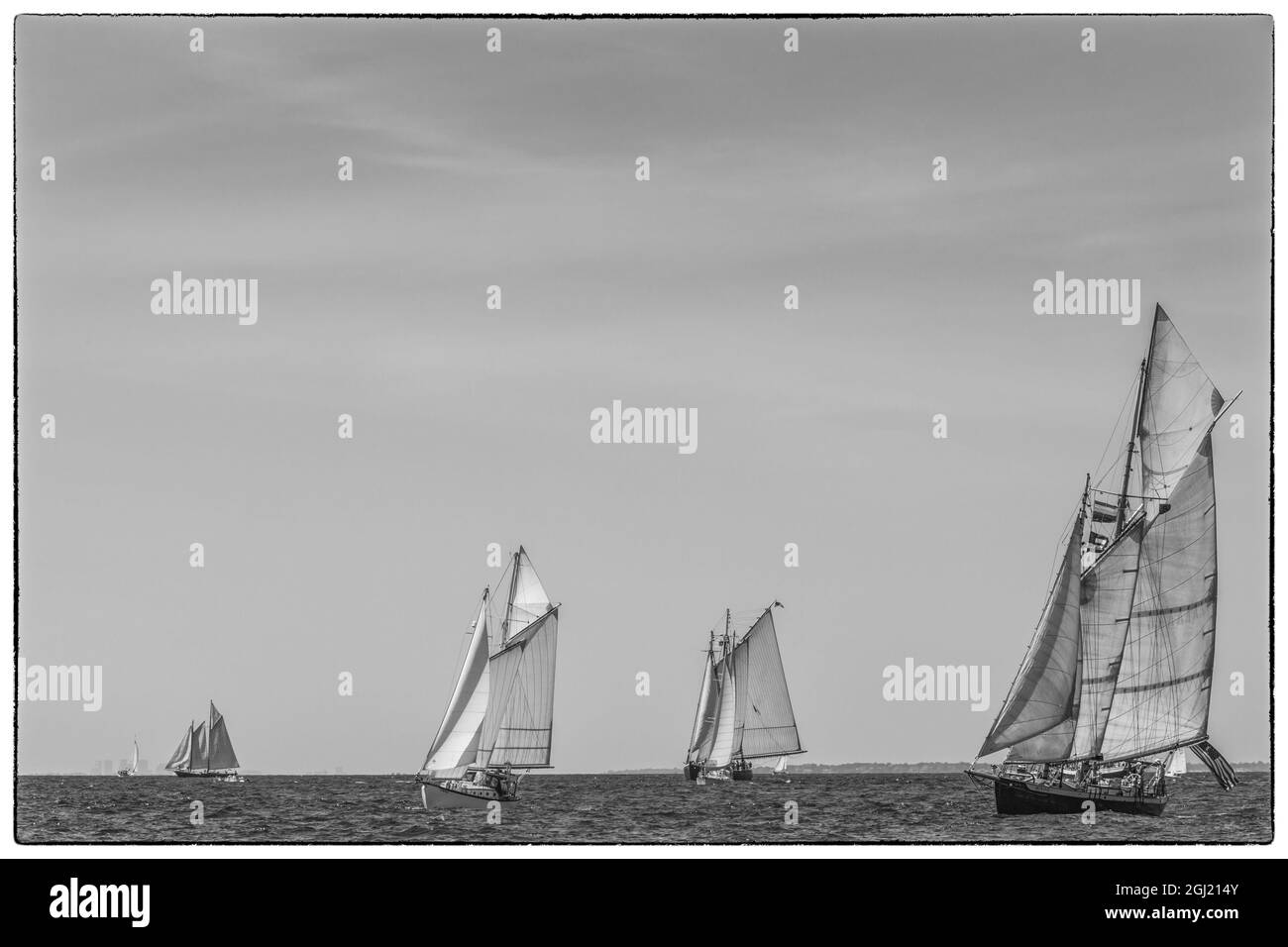 USA, Massachusetts, Cape Ann, Gloucester. Gloucester Schooner Festival, Schoner Parade der Segel. Stockfoto