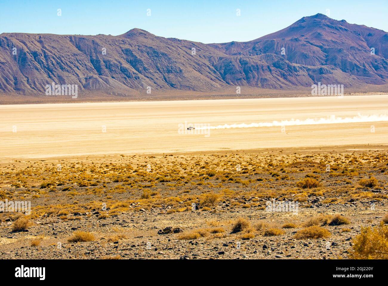 USA, Nevada, Fahrzeug verlässt Dusty Wake auf Dusty Black Rock Desert Playa umrahmt von Burnt Rock Peak Stockfoto