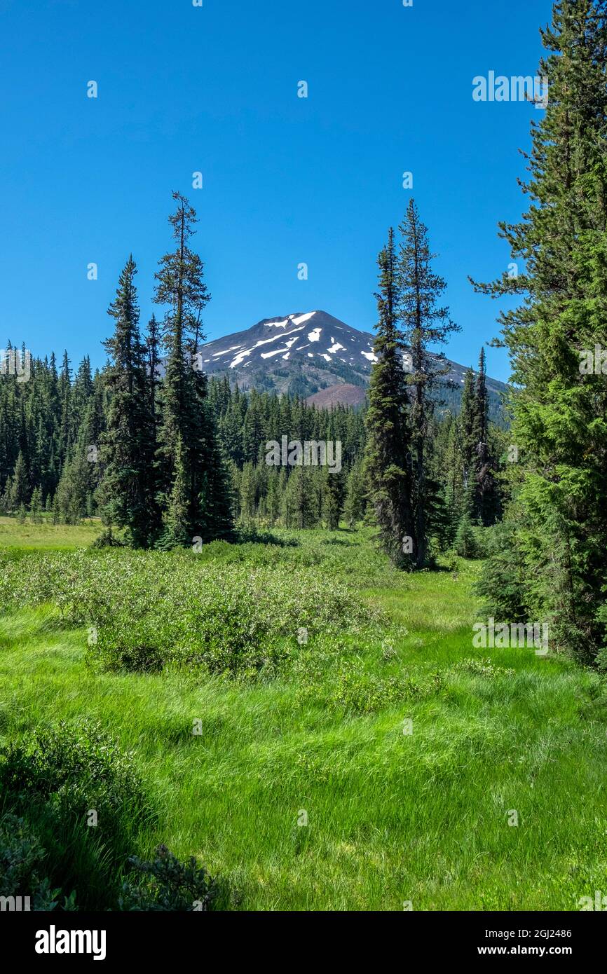 Deschutes National Forest and Mount Bachelor, Bend, Oregon, USA Stockfoto
