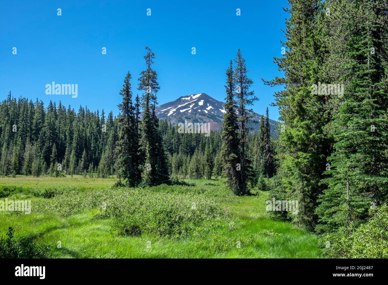 Deschutes National Forest and Mount Bachelor, Bend, Oregon, USA Stockfoto