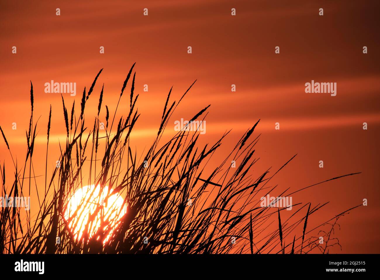 Walla Walla County, WA, USA. Sonnenuntergang an der Whitman Mission National Historic Site. Stockfoto