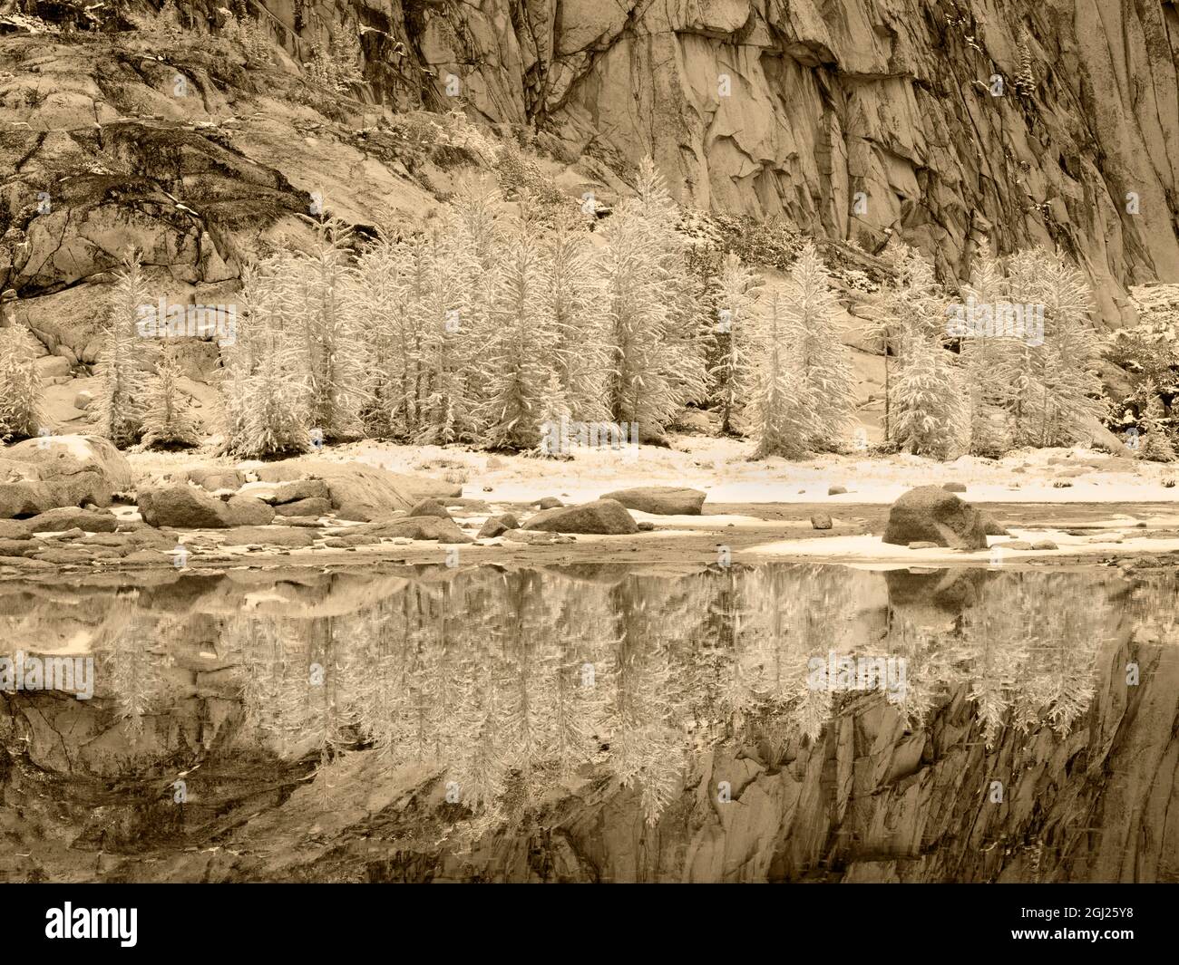 USA, Staat Washington. Zauberhafte Seen, Schnee auf Lärchenbäumen, die sich in Gnome Tarn widerspiegeln. Stockfoto
