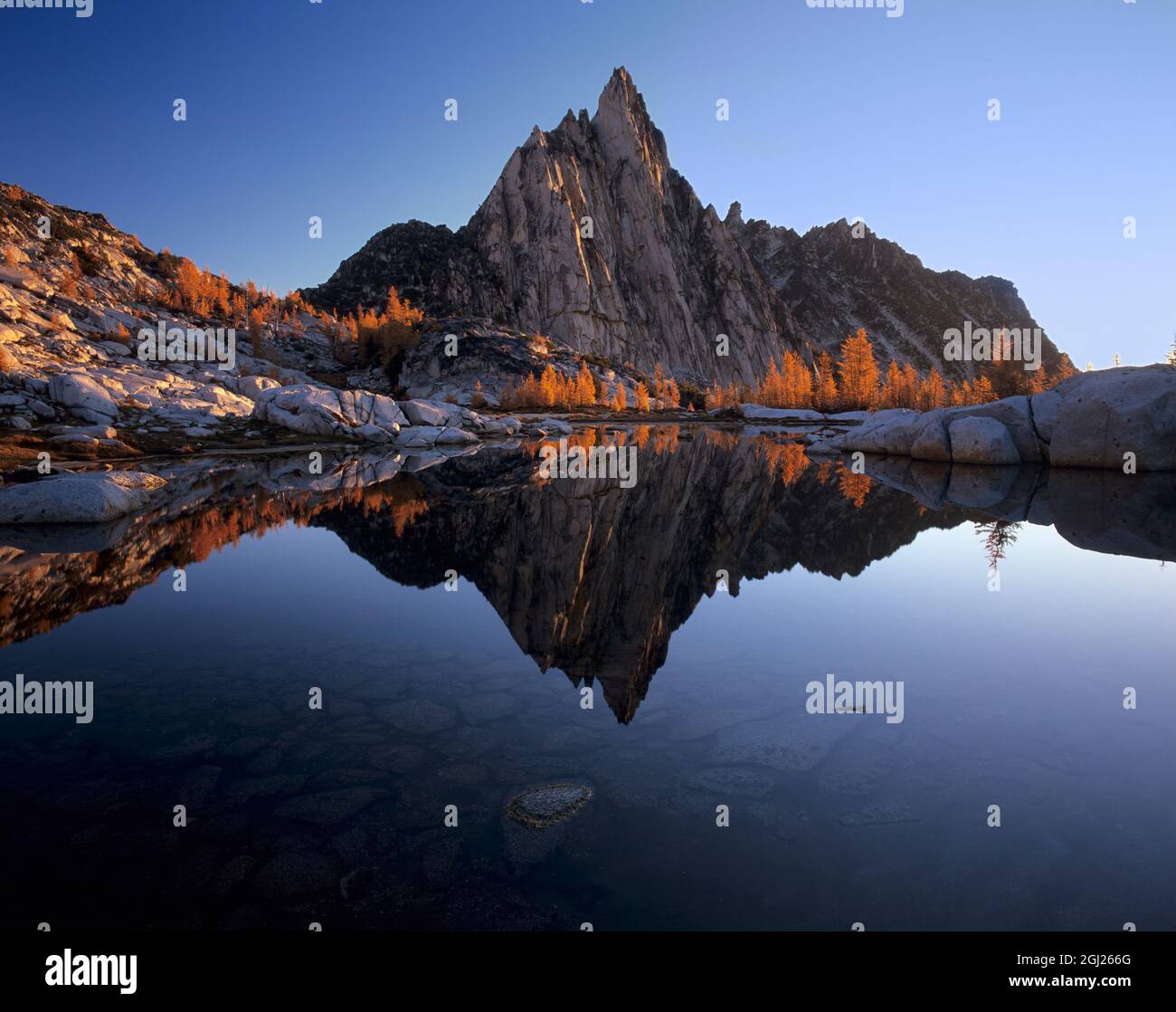 Washington State, Alpine Lakes Wilderness, Enchantment Lakes, Prusik Peak, reflektiert in Gnome Tarn Stockfoto