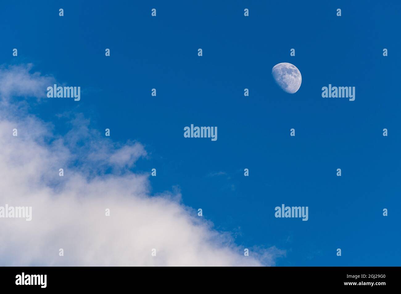 Wunderschöner, entspannender Mondblick Stockfoto