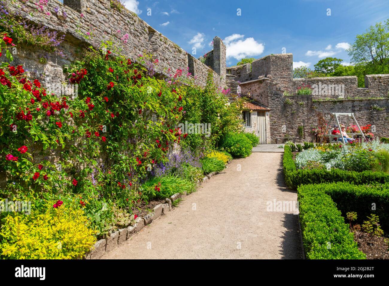 Farbenfrohe krautige Grenzen im ummauerten Garten der Bishop's Palace Gardens in Wells, Somerset, England, Großbritannien Stockfoto