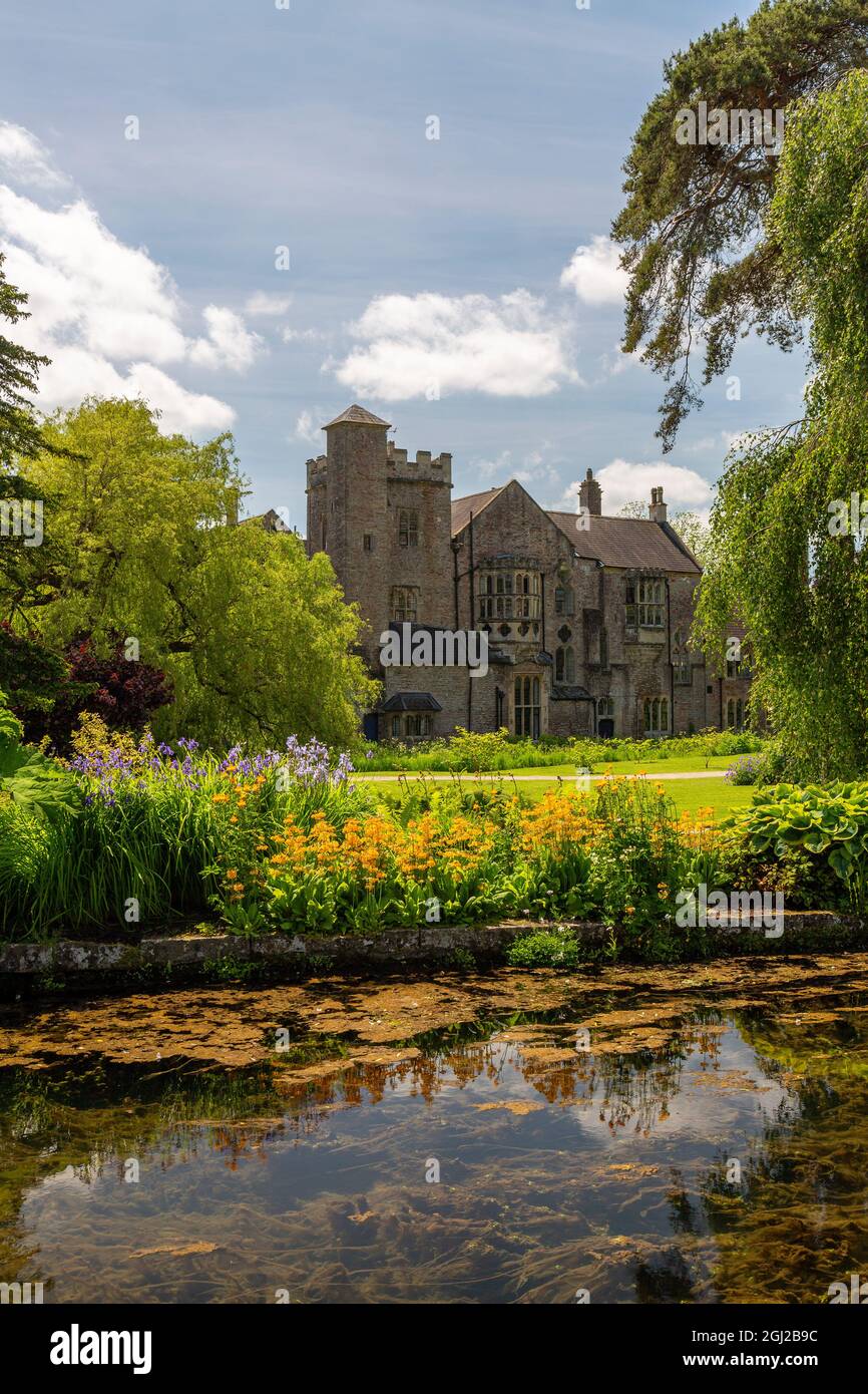 Der historische Bischofspalast in Wells sah über einen der „Brunnen“, die der Stadt ihren Namen geben, Somerset, England, Großbritannien Stockfoto