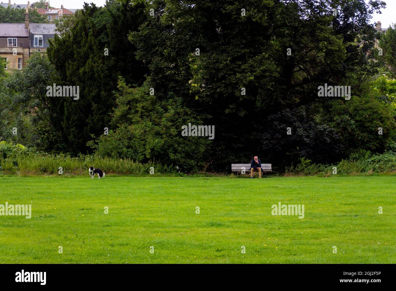 Alleinerziehender Mann und Hund in Kensington Meadows, Bath, Großbritannien Stockfoto