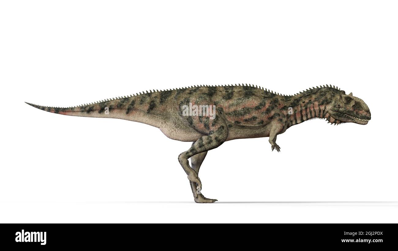 Majungasaurus crenatissimus 3D-Illustration Stockfoto