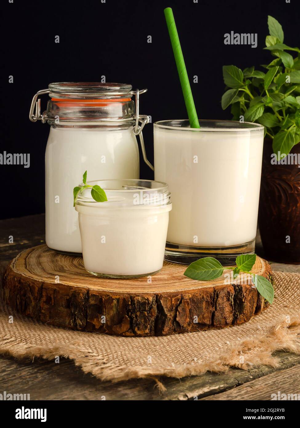 Milchstarterkultur zur Herstellung von fermentierten Milchprodukten, Joghurt, Kefir, fermentierter Backmilch in einem Glas auf einem Holzschnitt Stockfoto