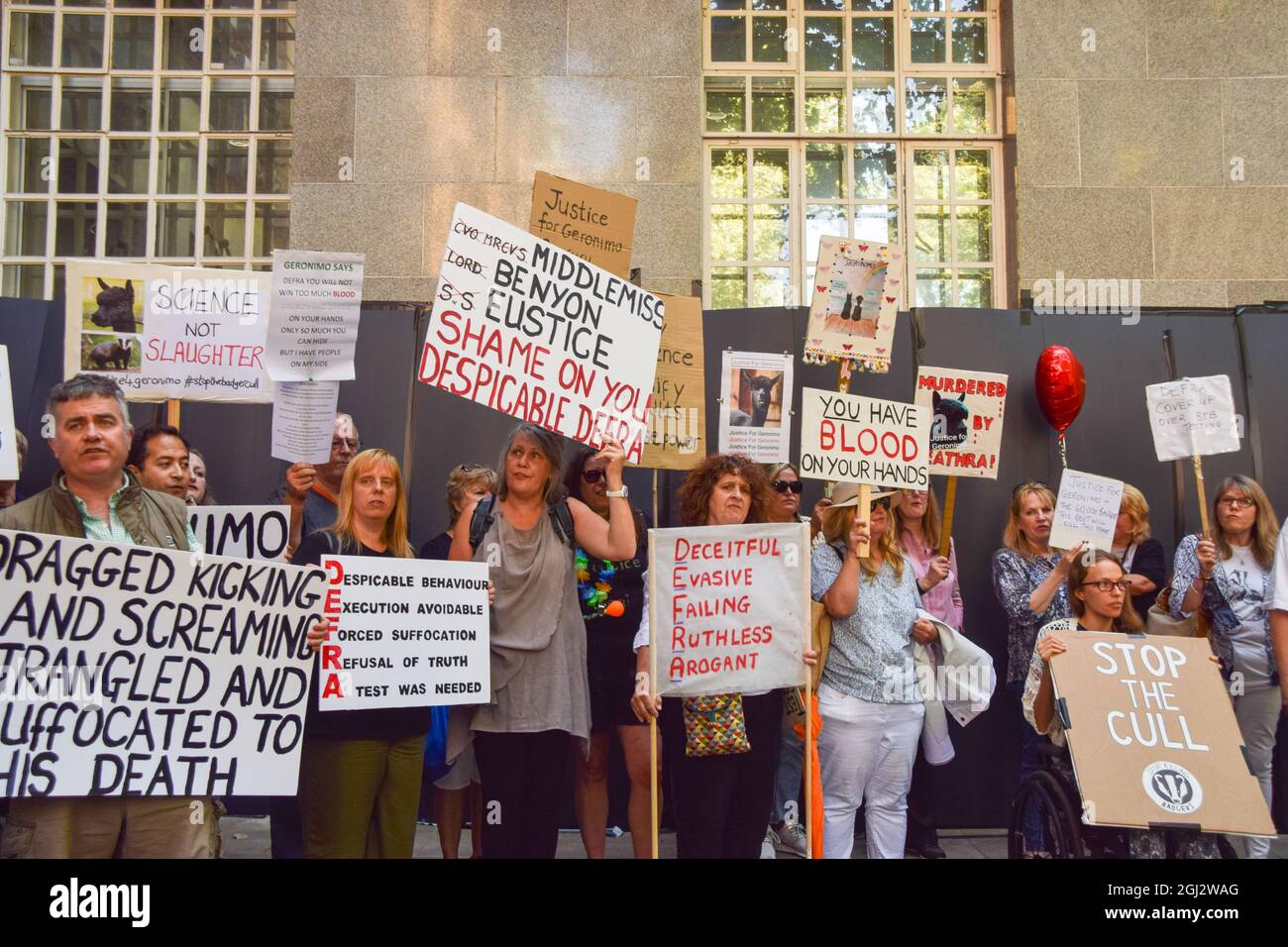 London, Großbritannien. September 2021. Die Demonstranten versammelten sich vor Defra (Ministerium für Umwelt, Ernährung und ländliche Angelegenheiten) und forderten Gerechtigkeit für den kürzlich getöteten Geronimo, den Alpaka, und forderten Defra auf, die Dachsküllung zu stoppen. (Kredit: Vuk Valcic / Alamy Live News) Stockfoto