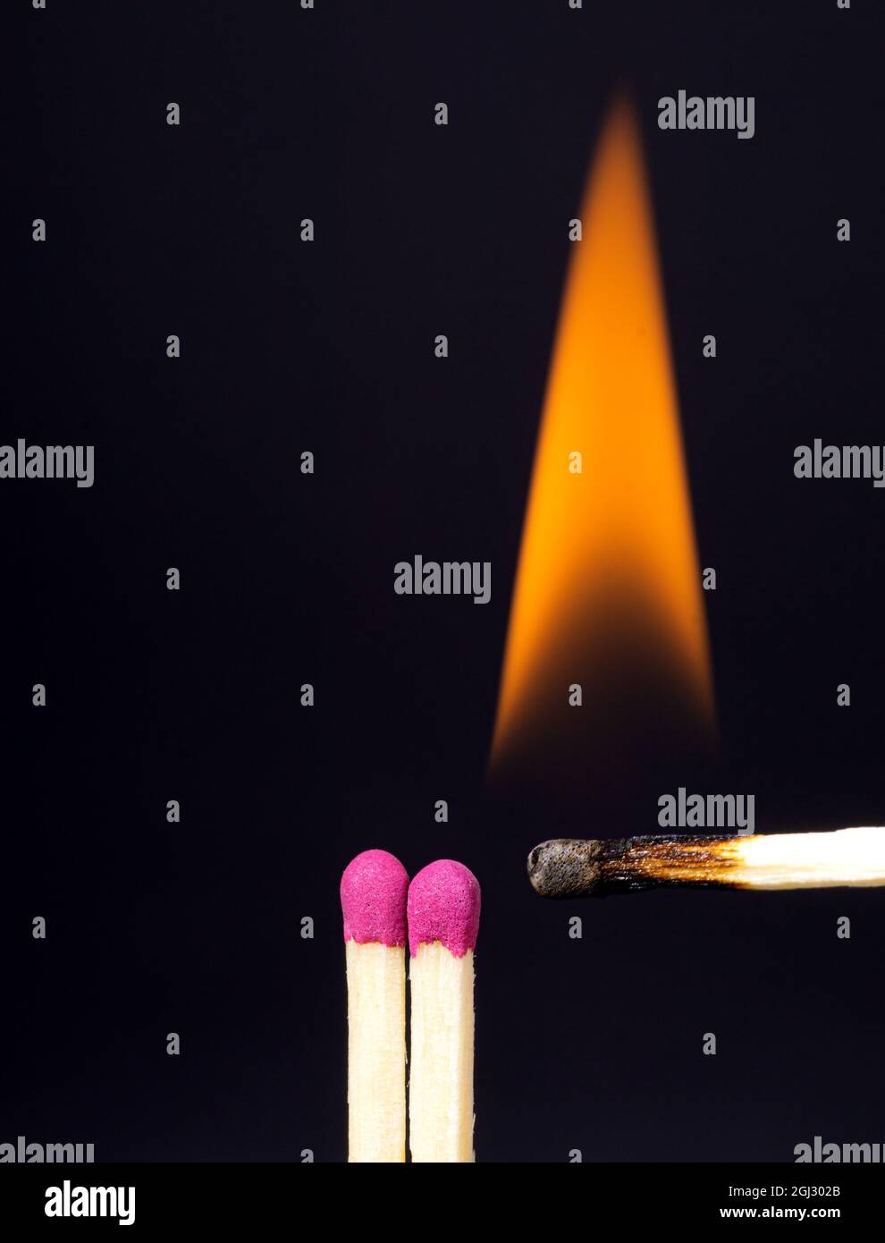 Nahaufnahme eines brennenden Streichholzstachels vor dunkelviolettem Hintergrund. Inspirationskonzept. Stockfoto