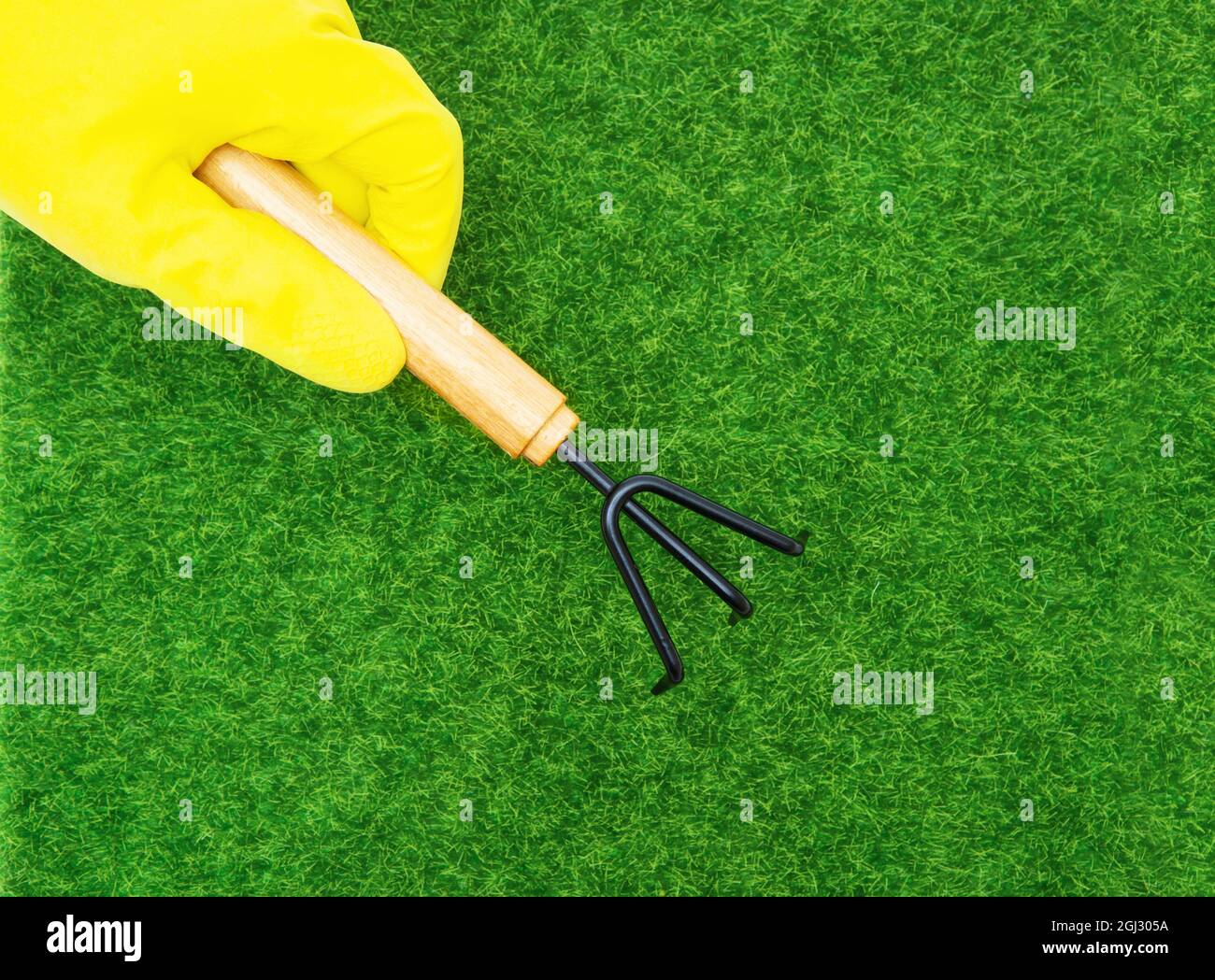 Ansicht einer menschlichen Hand in einem gelben Handschuh, der einen Handgrubber vor einem grünen Rasen hält Stockfoto