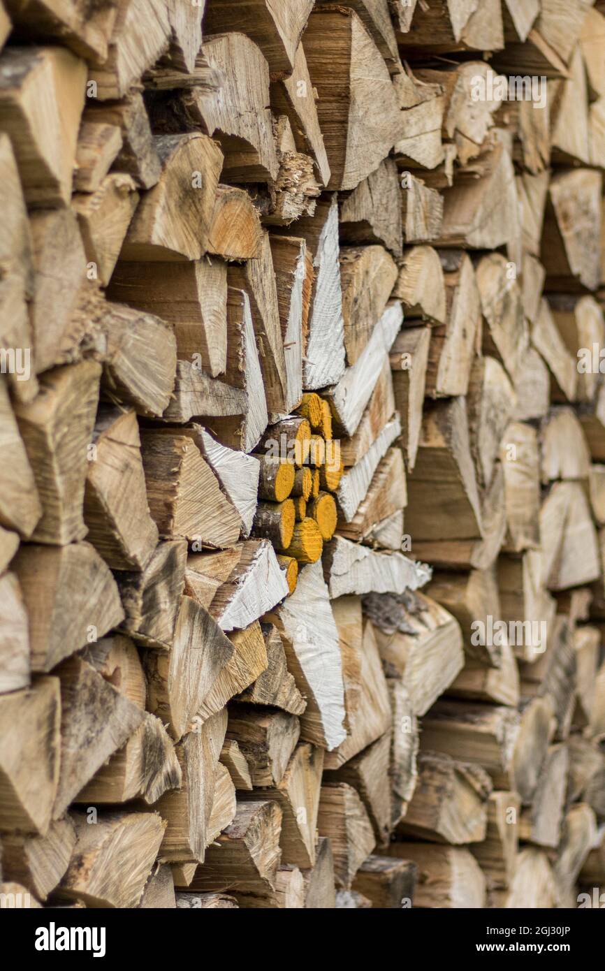 Holzstapel für kaltes Wetter mit Edelweiß in der Mitte Stockfoto