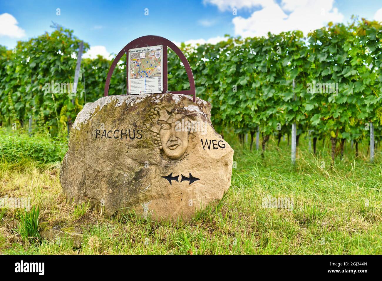 Wiesloch, Deutschland - August 2021: Stein, der die Richtung der Wanderstraße namens 'Bacchus weg' zeigt, mit Ortskarte und Bacchus-Gesicht Stockfoto