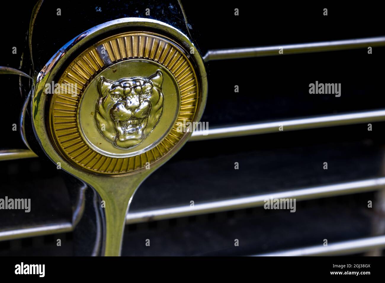E-Type Jaguar Kühlerabzeichen Stockfoto