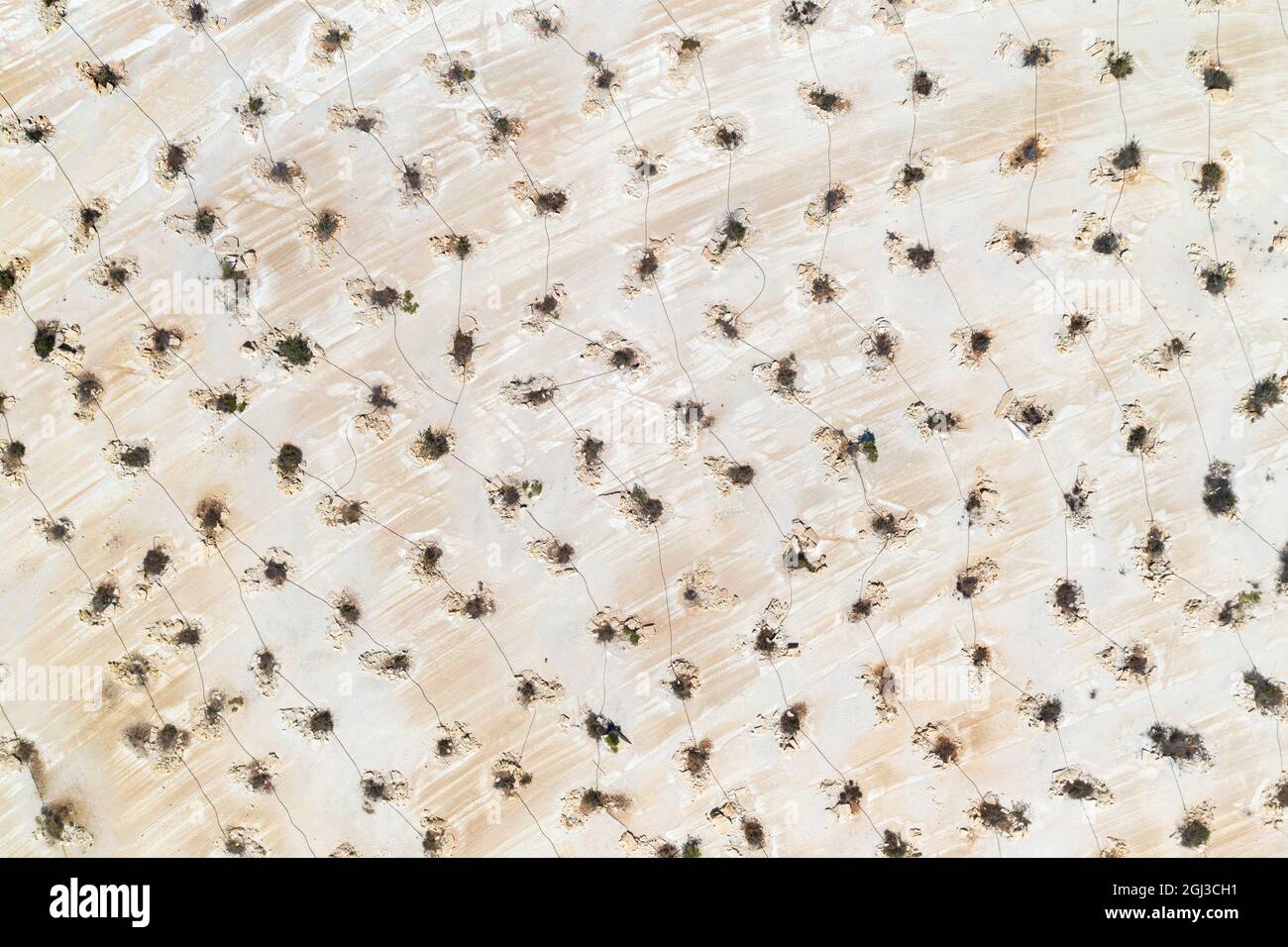 Luftbild, Waldsanierung und Tropfenbewässerung in verlassenen Kalksteinbrüchen Stockfoto