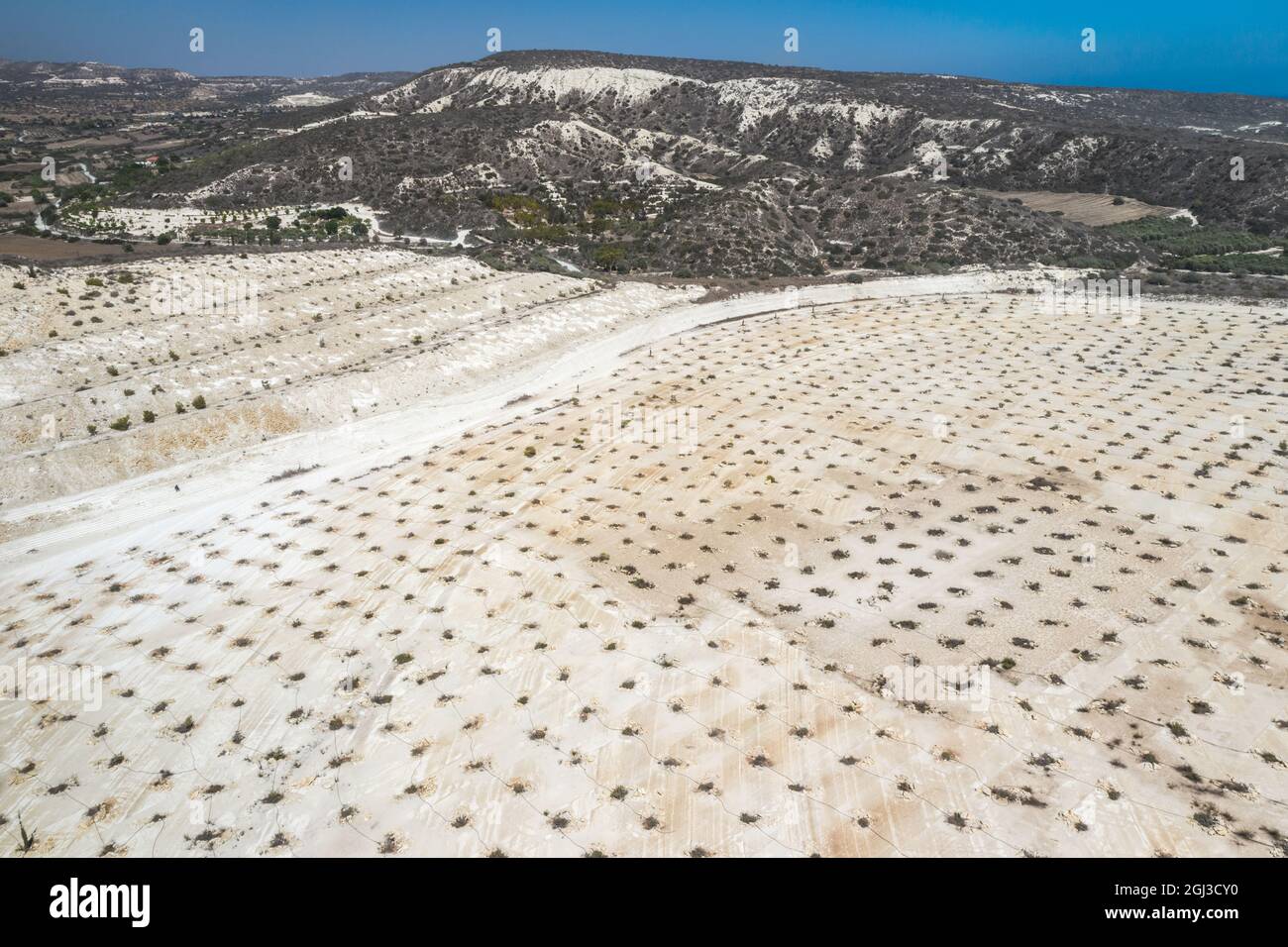 Wiederaufforstung und Wiederherstellung des Ökosystems in verlassenen Kalksteinbrüchen Stockfoto