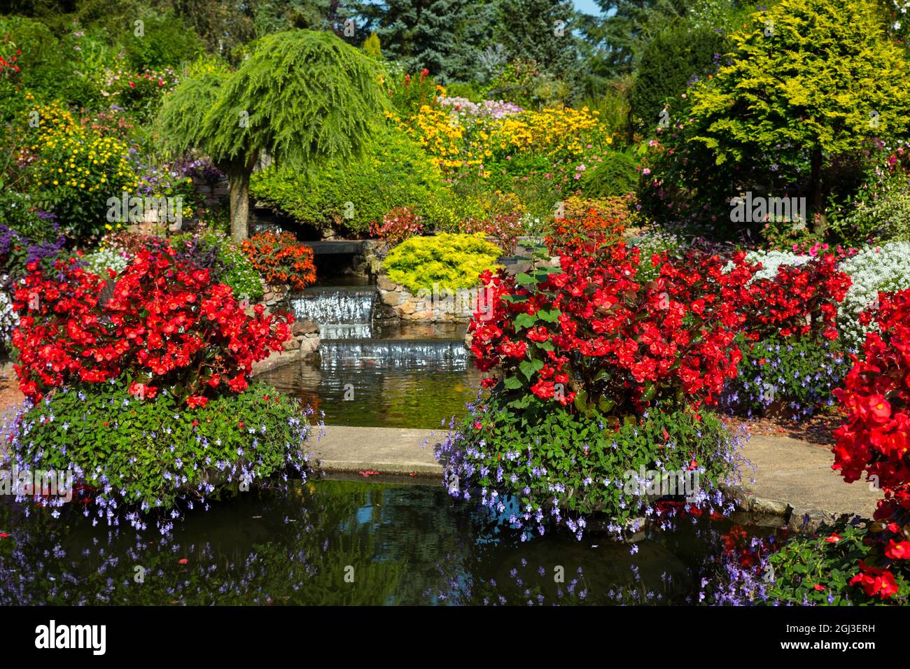 Blumen und Wasserfall in einem Garten in holland Stockfotografie Alamy
