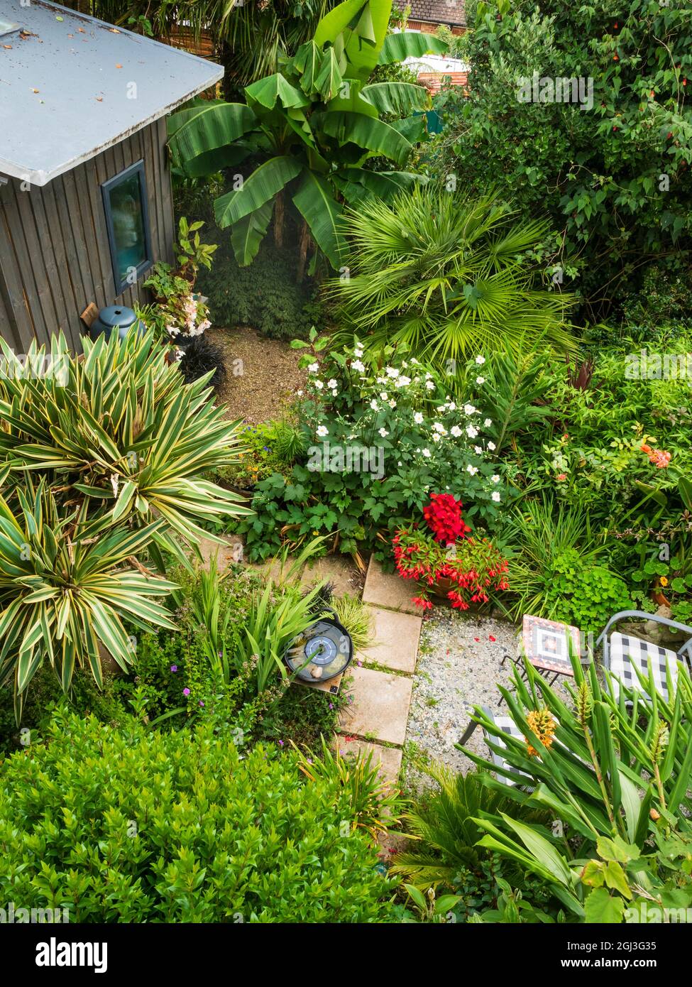 Blick von oben auf einen kleinen exotischen Garten in Plymouth, Devon, Großbritannien, mit üppigem Wachstum im Spätsommer Stockfoto