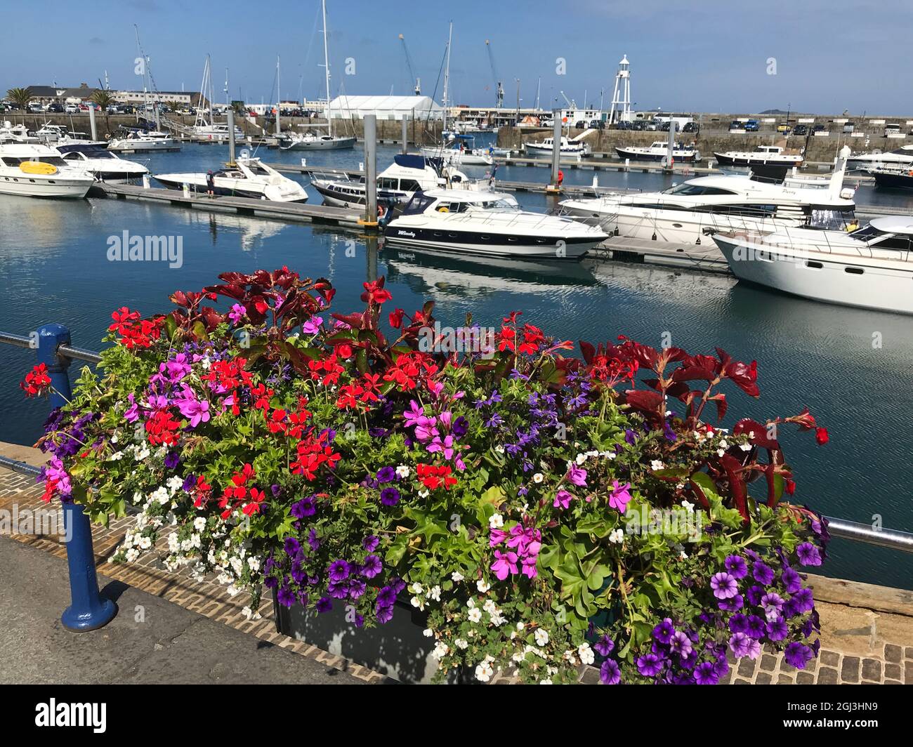 Britische Kanalinseln. Guernsey. St. Peter Port. Blumenarrangement am Hafen. Stockfoto