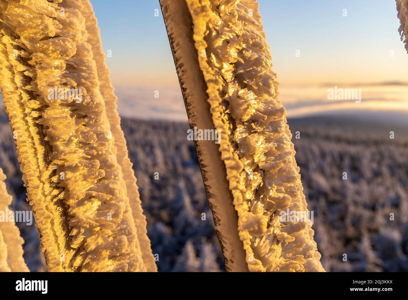 Aussichtsturm, Velka Destna, Orlicke Berge, Ostböhmen, Tschechische Republik Stockfoto