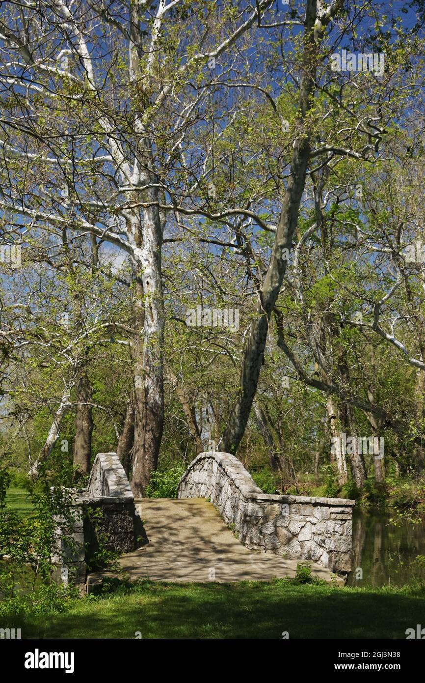 Fußgängerbrücke aus Stein. Hohe Bäume im Hintergrund. Eastwood Metropark, Dayton, Ohio, USA. Stockfoto