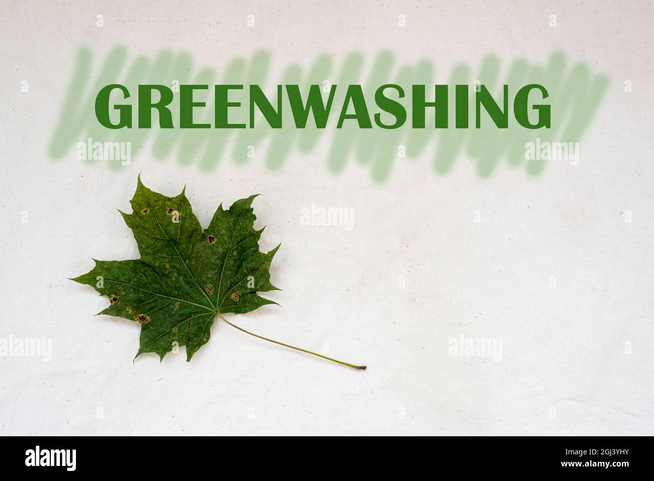 Greenwashing-Konzept. Trockenes Ahornblatt und Text mit grünen Markierungsstrichen. Stockfoto