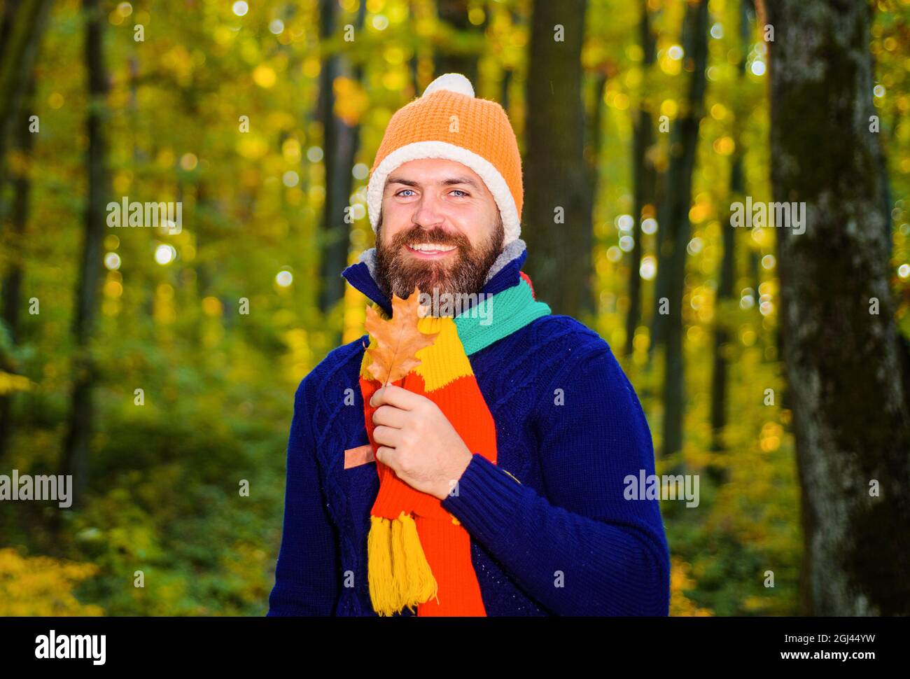 Herbstmann in warmen Kleidern im Park an sonnigen Tagen. Herbstmode für Männer. Lächelnder Kerl mit gelben Blättern. Stockfoto