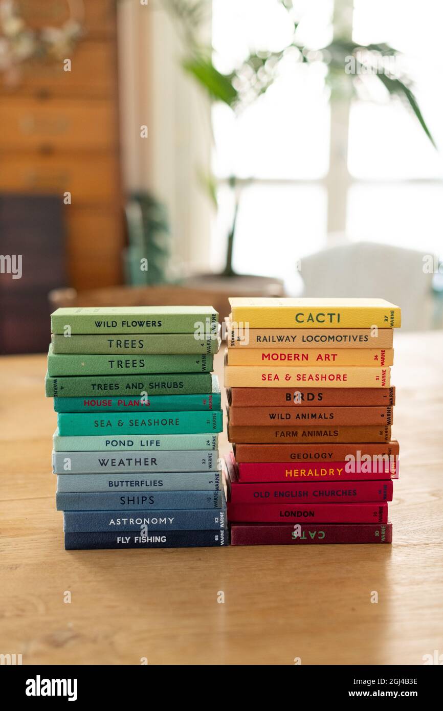 Vertikale Aufnahme von gestapelten Büchern über Natur, Weltraum, Meer und andere Felder auf dem Tisch Stockfoto