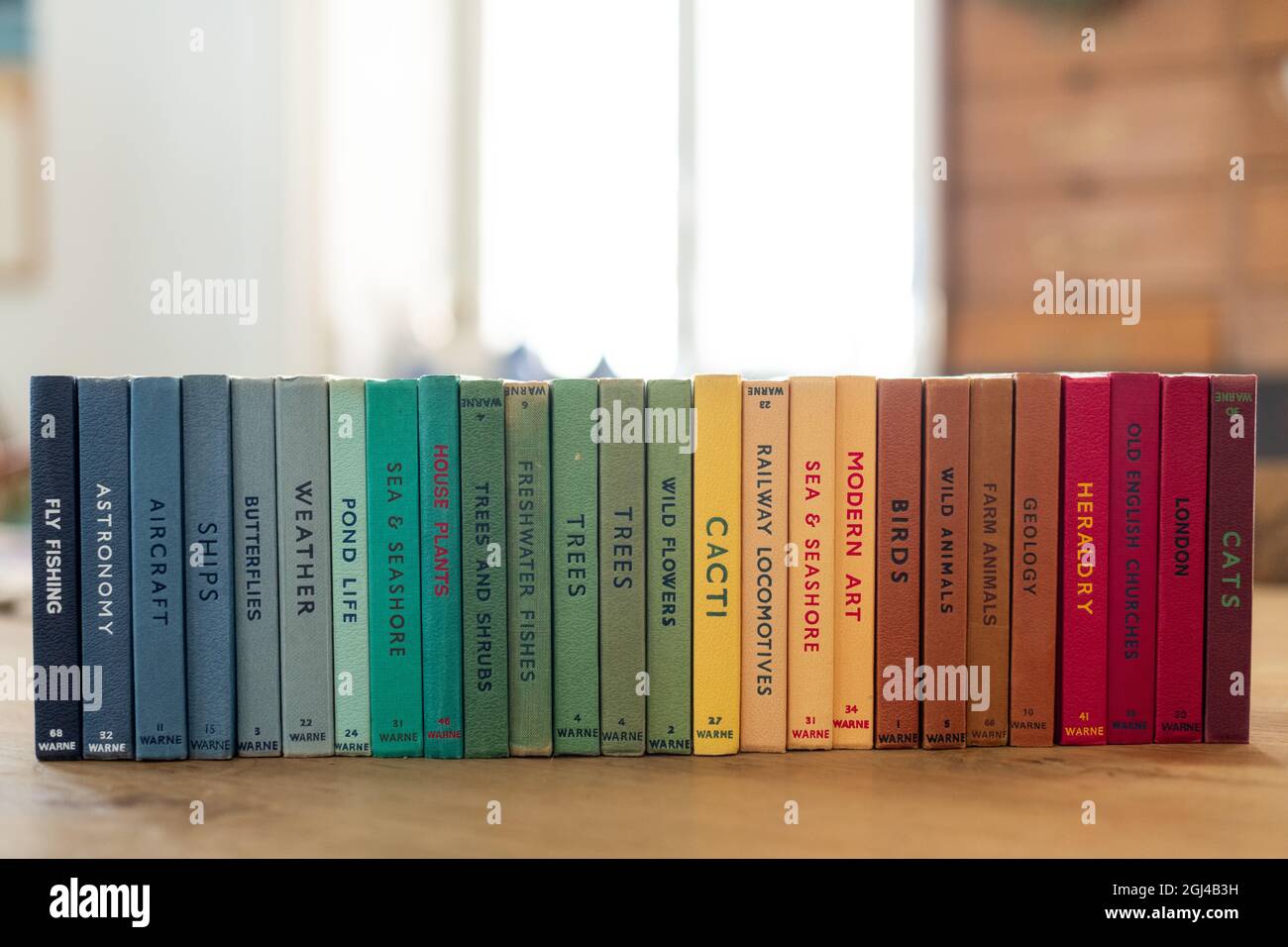 Nahaufnahme eines Stapels von bunten Büchern über verschiedene wissenschaftliche Felder auf dem Tisch Stockfoto