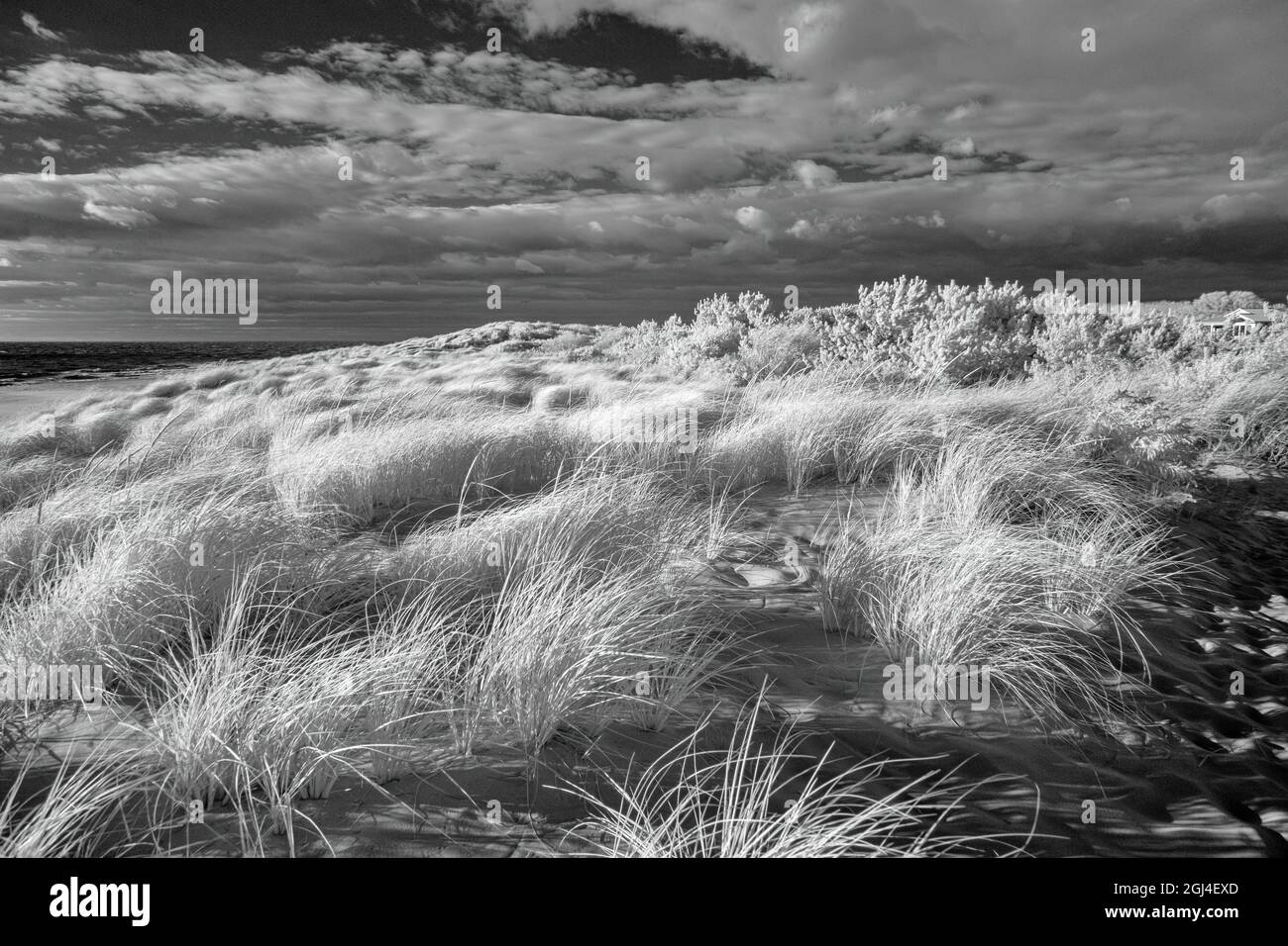 Sanddünen am Cape May Stockfoto