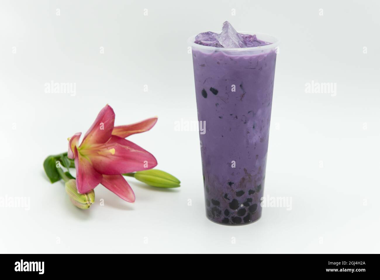 Das boba-Getränk mit Taro-Milchtee-Geschmack ist kalt und köstlich als Getränk oder Mahlzeit. Stockfoto