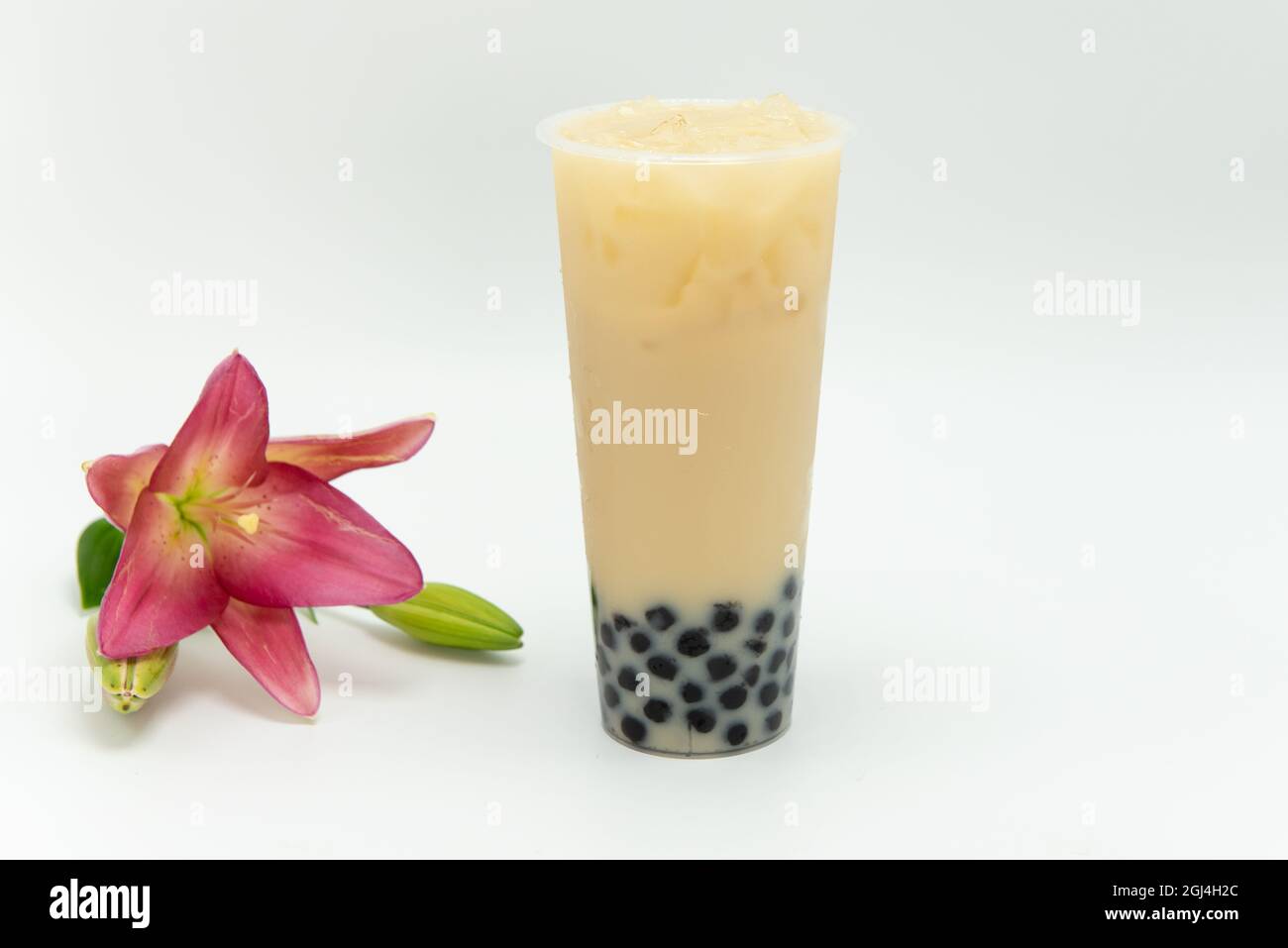 Das boba-Getränk mit Taro-Milchtee-Geschmack ist kalt und köstlich als Getränk oder Mahlzeit. Stockfoto