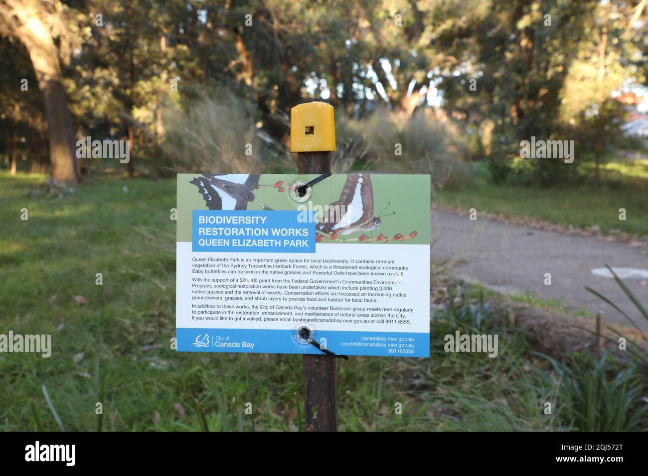 Wiederherstellung der Biodiversität Queen Elizabeth Park, Concord Stockfoto