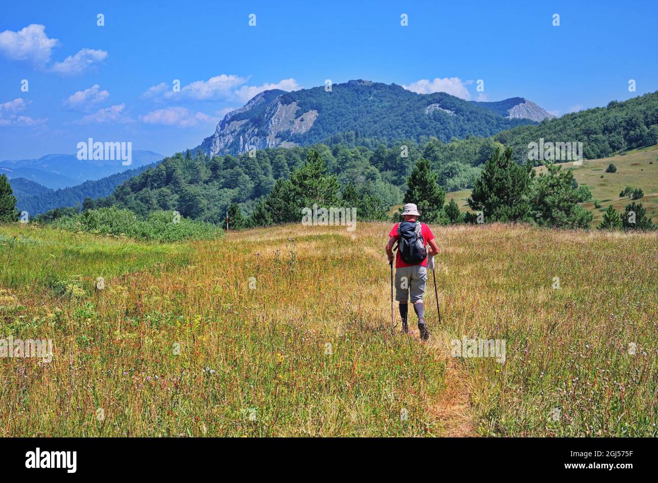 Ältere Männer wandern durch das wunderschöne Tal Stockfoto