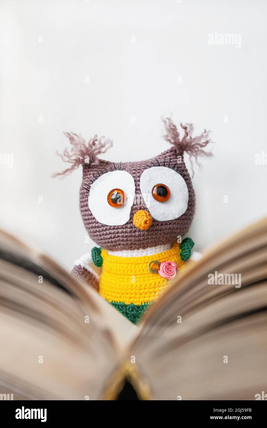 Handgefertigte Spieleule mit einem offenen Buch als Symbol für Weisheit und Wissen Stockfoto