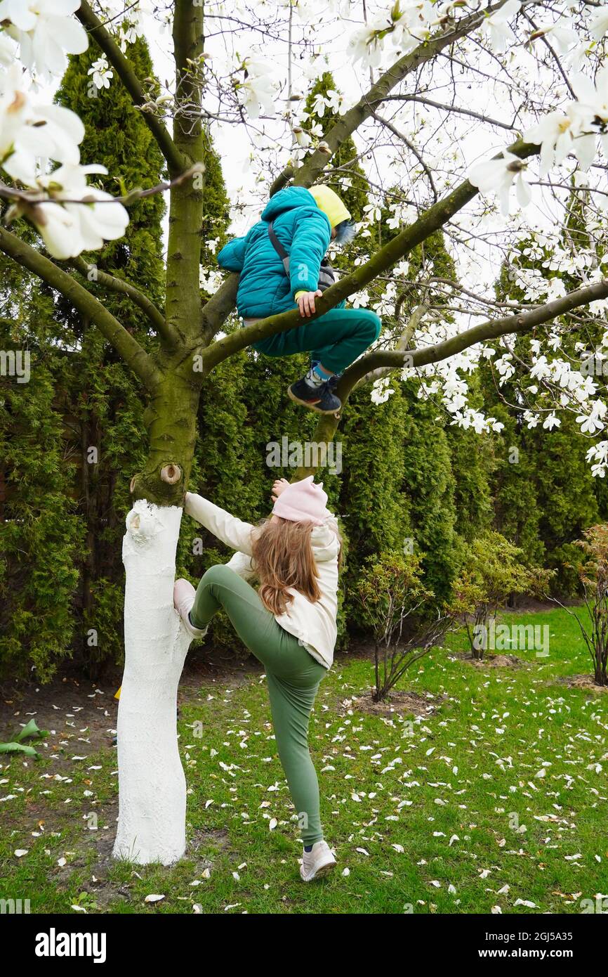 Klettern Bäume Kinder. Kleiner Junge und Mädchen Geschwister klettern hohen Baum. Witziger Bruder und Schwester. Kinder haben Spaß. Überwinden der Angst vor der Höhe Stockfoto