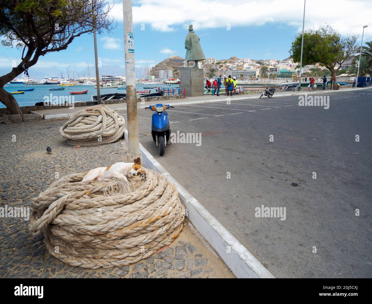 Hund am Seil, im Hintergrund die Statue von Diogo Afonso, Entdecker von Sao Vicente. Stadt Mindelo, ein Seehafen auf der Insel Sao Vicente, Kap Verde. A Stockfoto